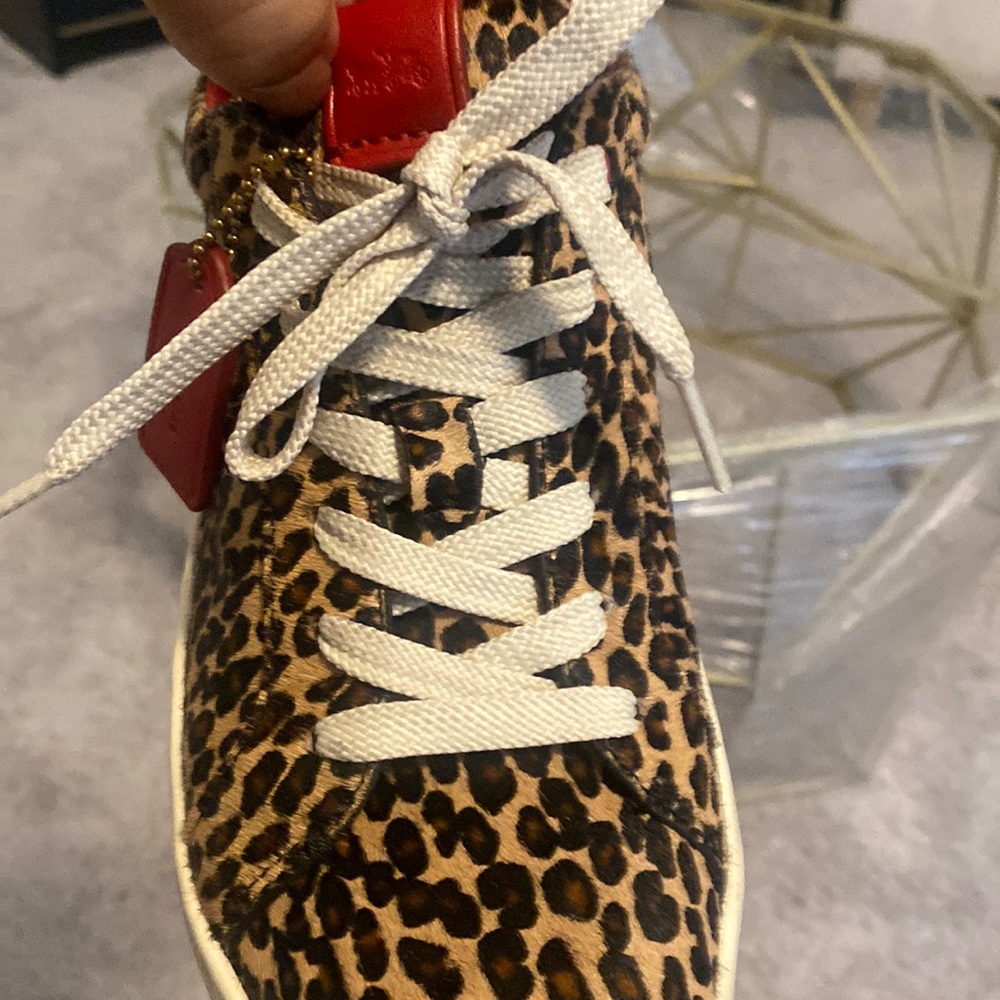 Coach Leopard Sneakers